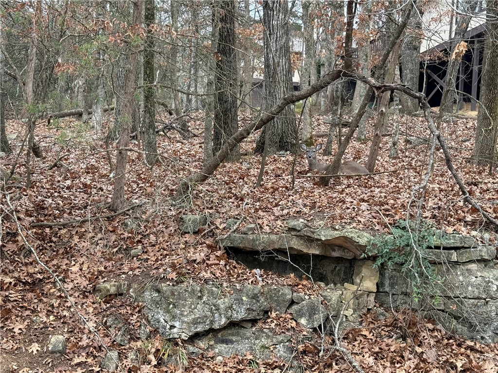 TBD Beaver Drive