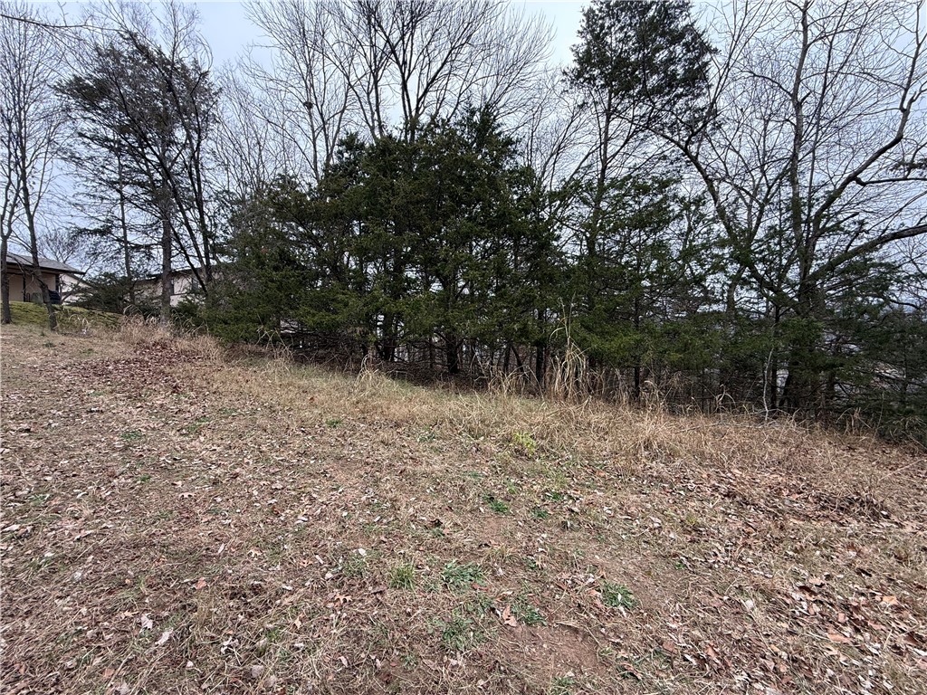 TBD Beaver Drive