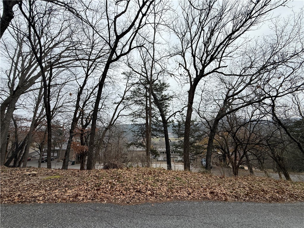 TBD Beaver Drive