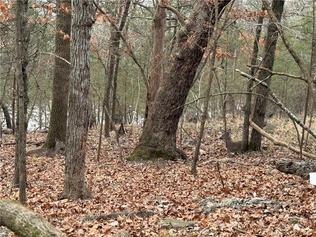 TBD Beaver Drive