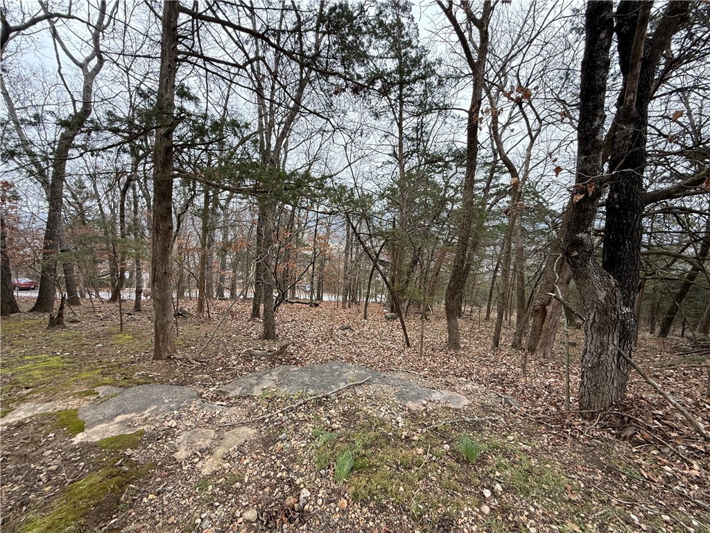 TBD Beaver Drive