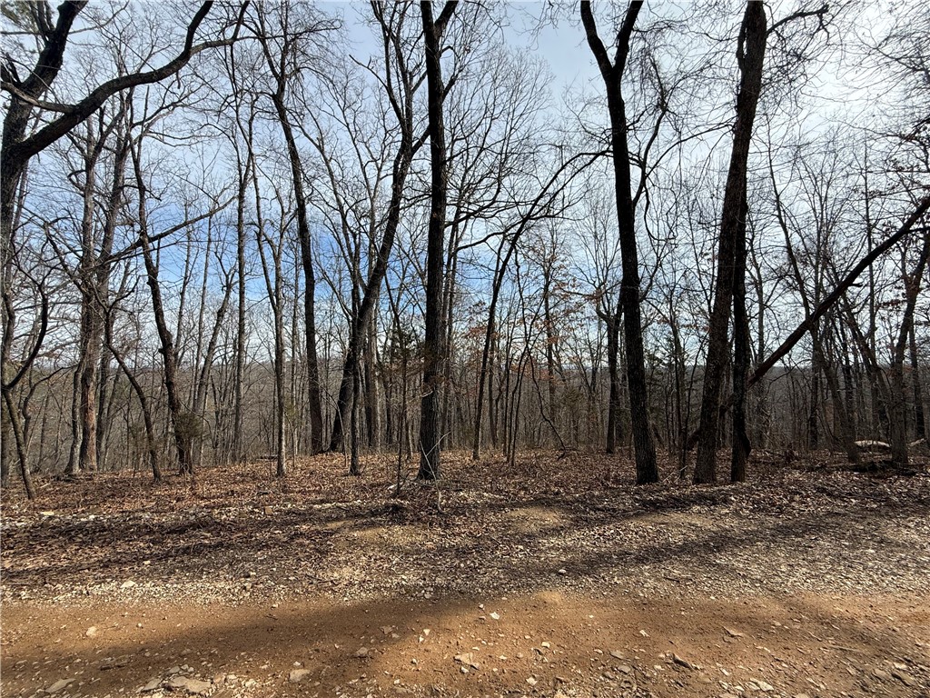 Tract 3 Cardinal Ridge Road