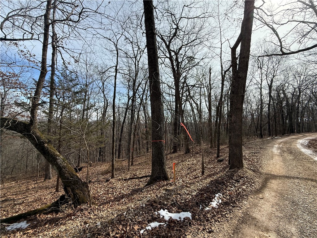 Tract 3 Cardinal Ridge Road
