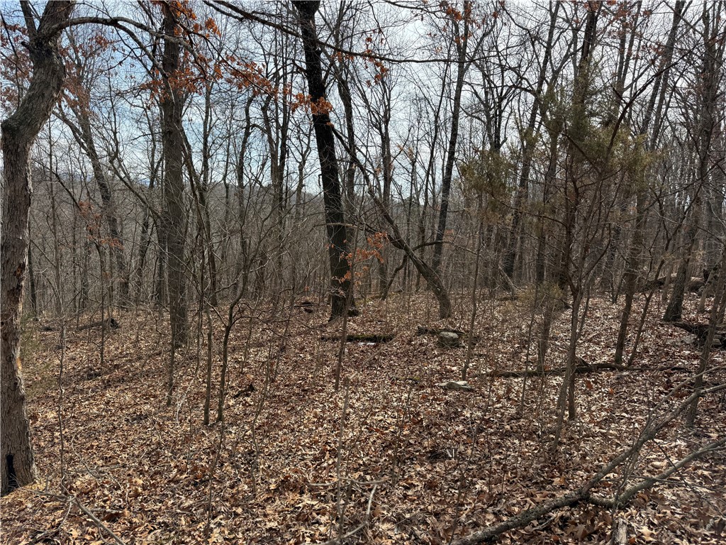 Tract 3 Cardinal Ridge Road