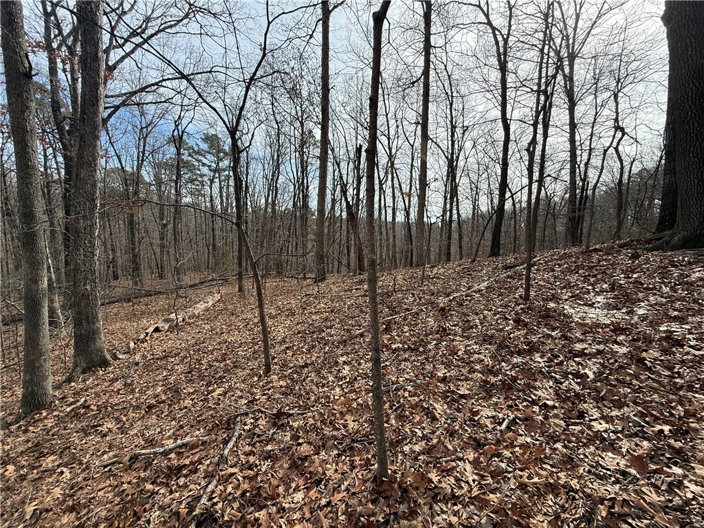 Tract 3 Cardinal Ridge Road