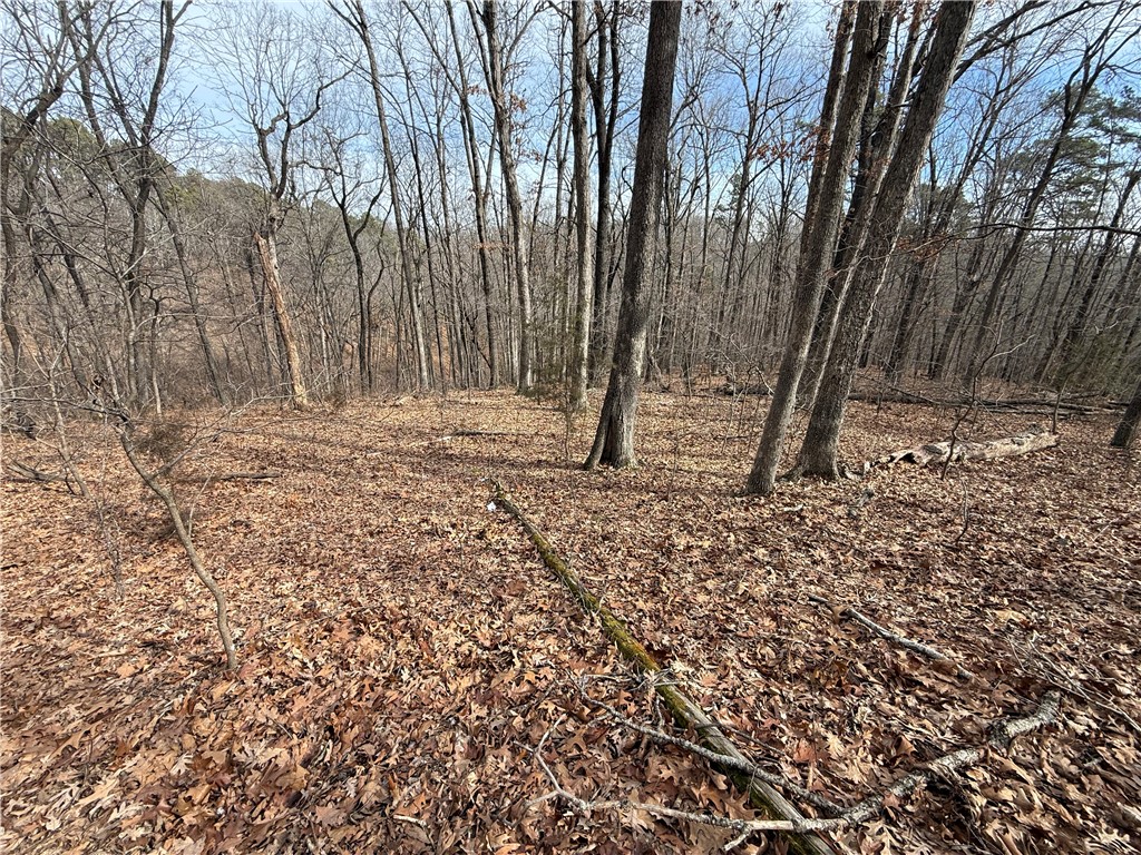 Tract 3 Cardinal Ridge Road