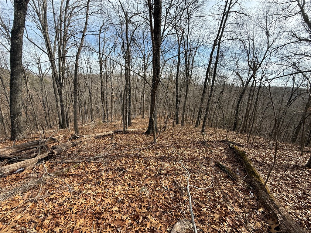 Tract 3 Cardinal Ridge Road