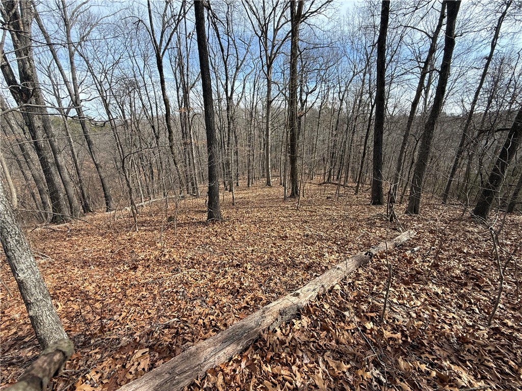 Tract 3 Cardinal Ridge Road