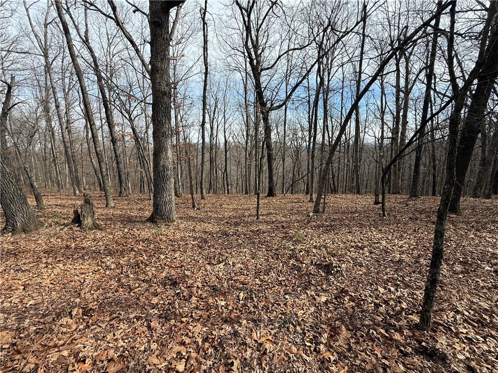 Tract 3 Cardinal Ridge Road