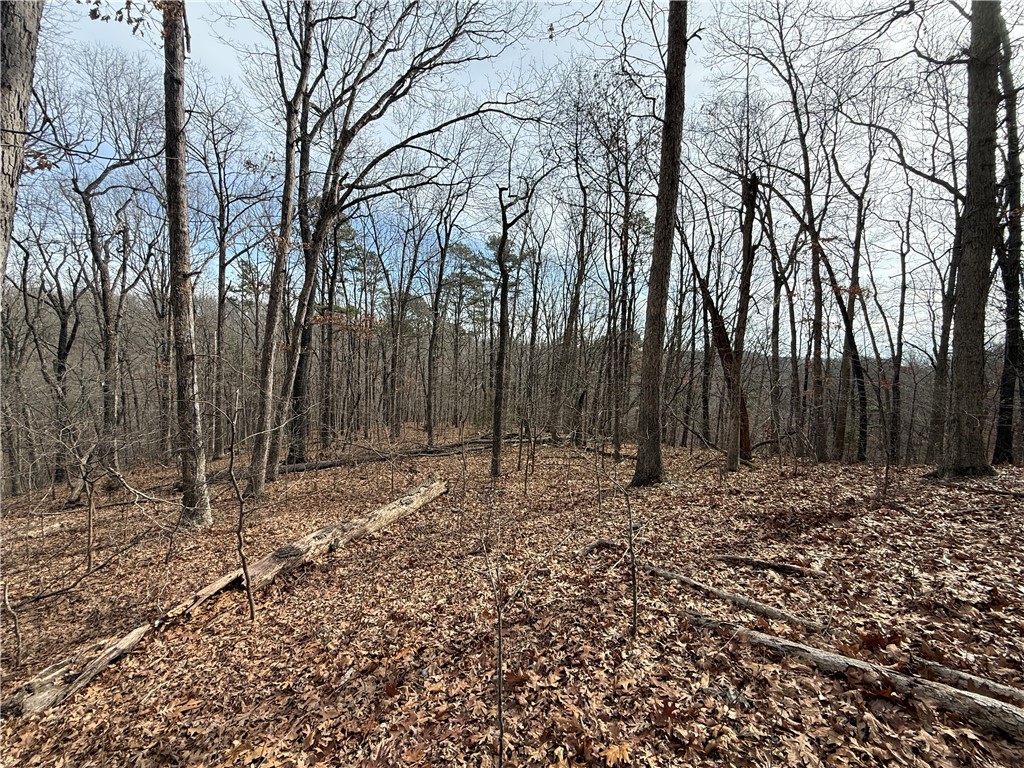 Tract 3 Cardinal Ridge Road
