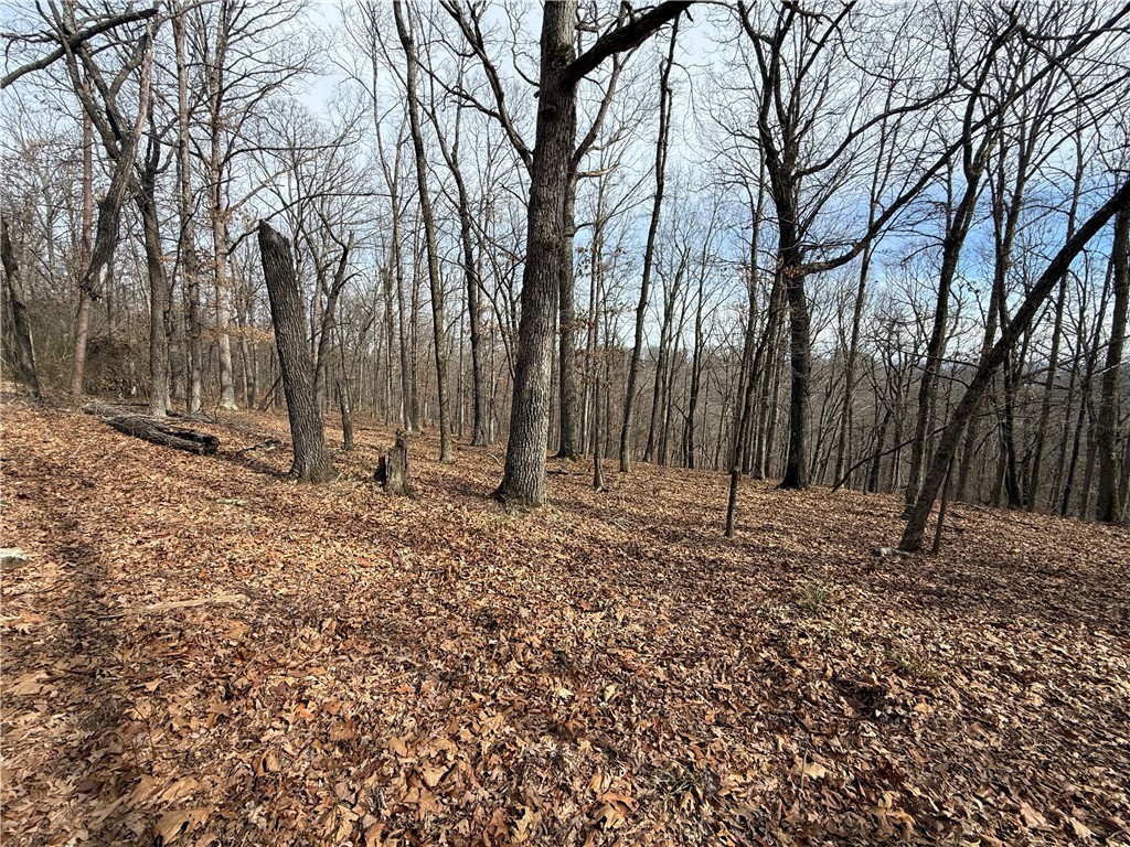 Tract 3 Cardinal Ridge Road