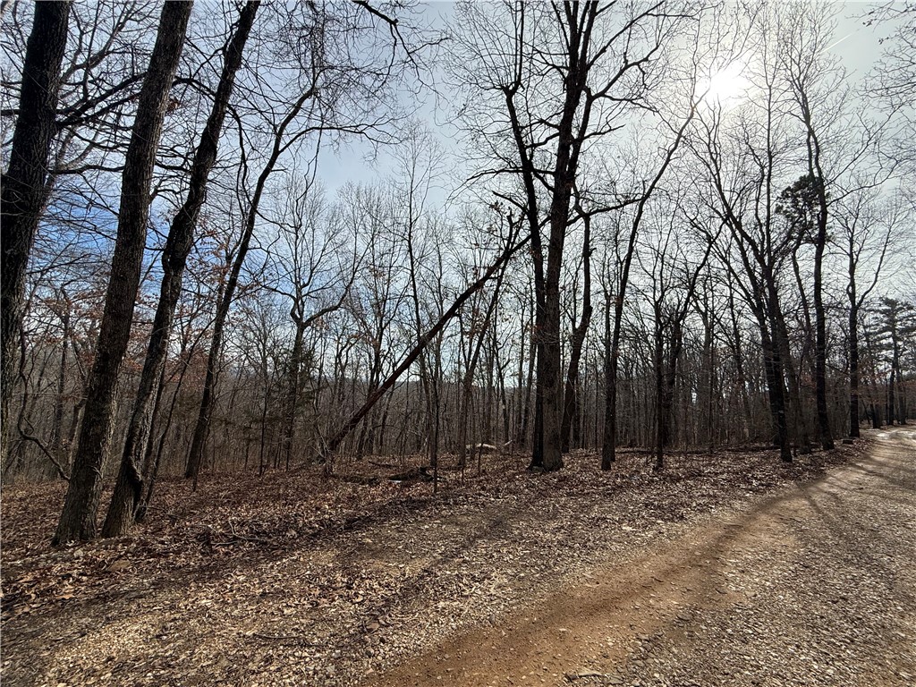 Tract 3 Cardinal Ridge Road