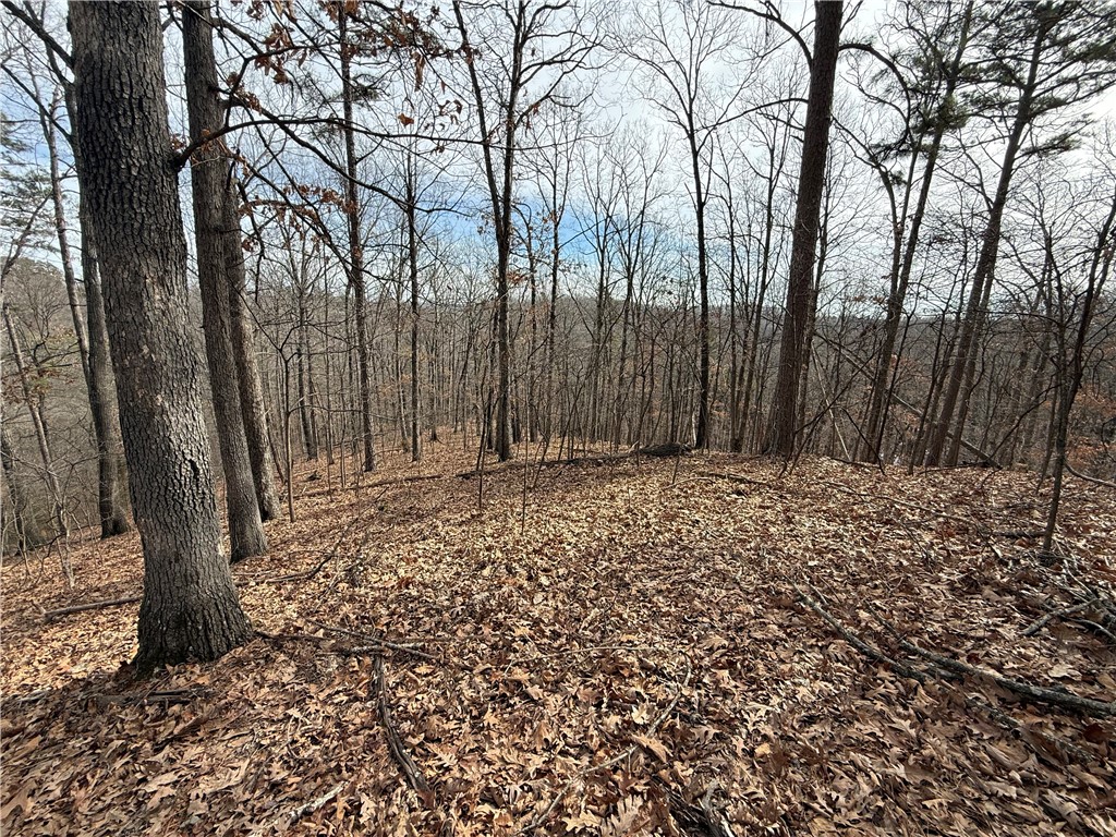 Tract 4 Cardinal Ridge Road
