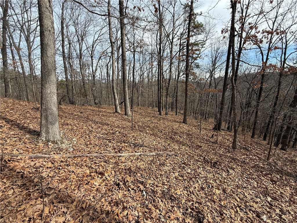 Tract 4 Cardinal Ridge Road