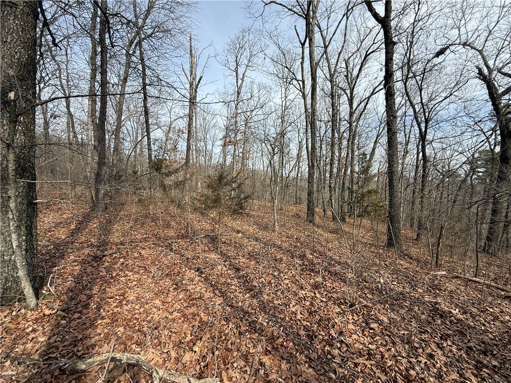 Tract 4 Cardinal Ridge Road