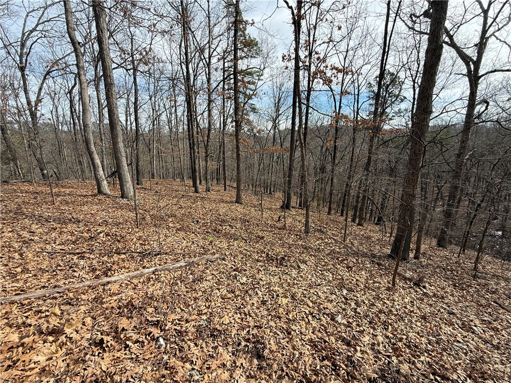 Tract 4 Cardinal Ridge Road