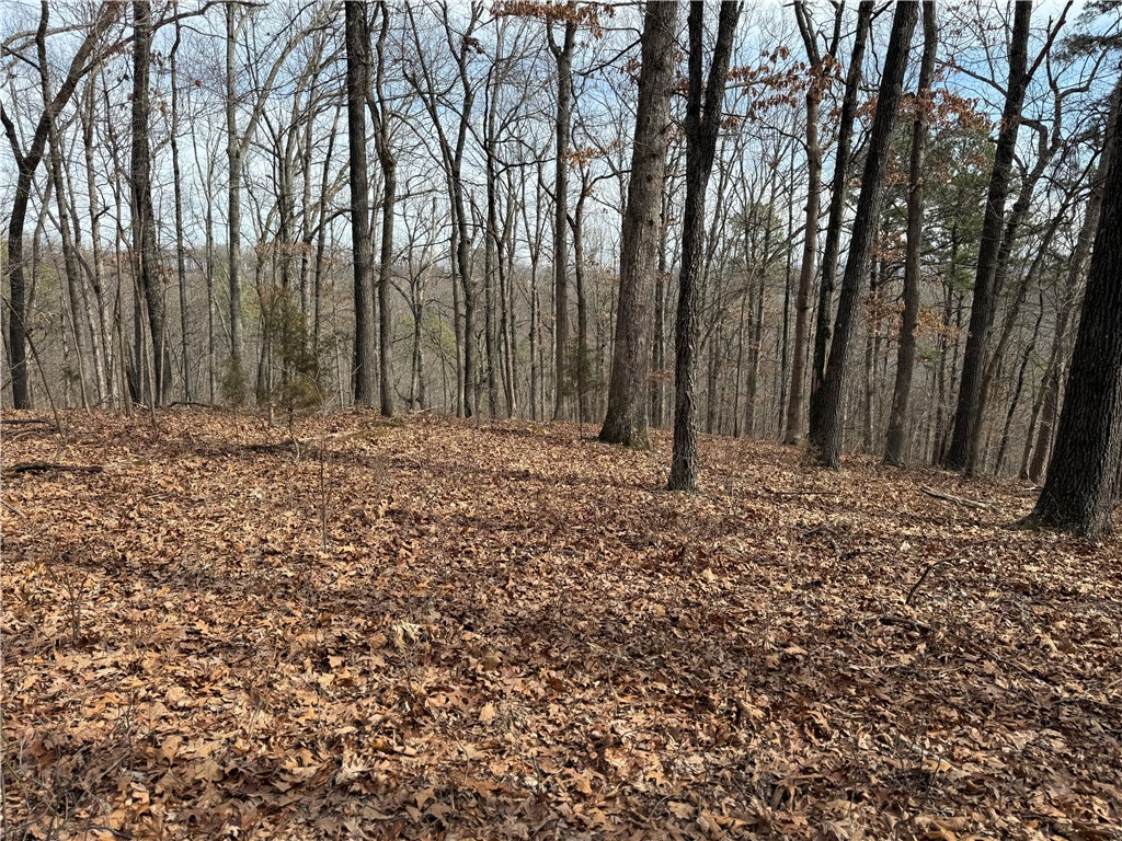 Tract 4 Cardinal Ridge Road