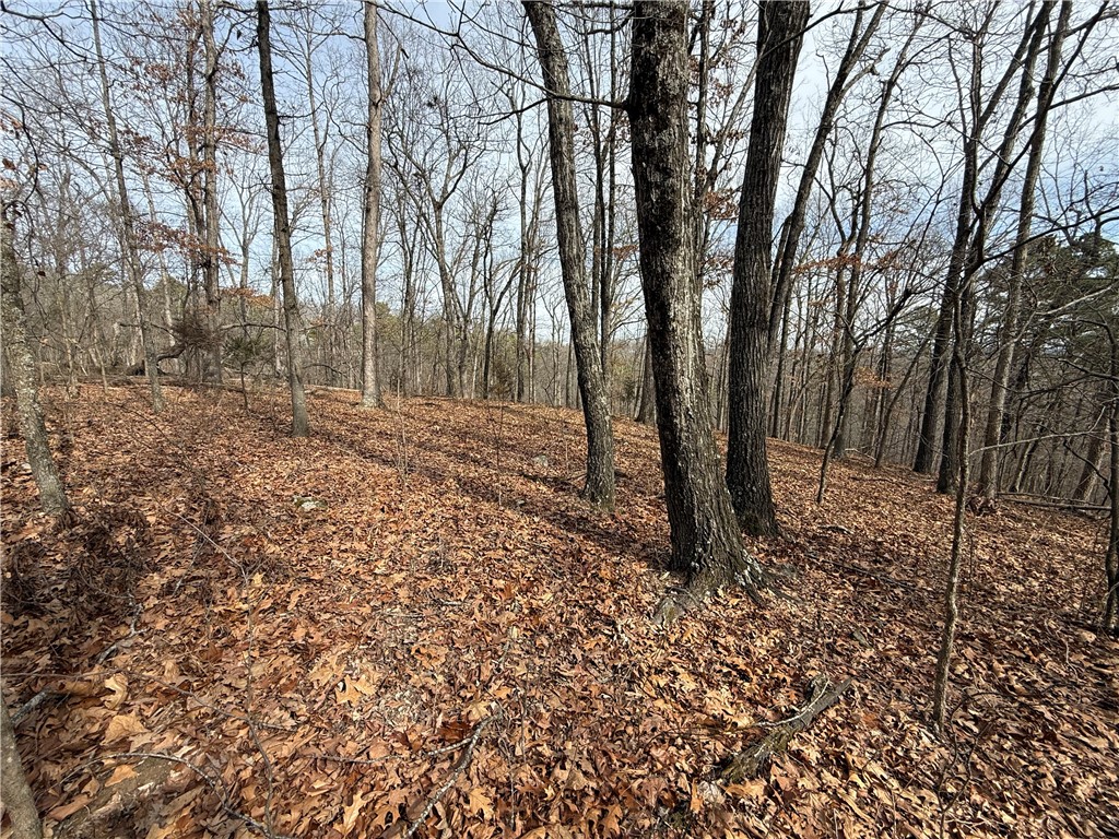 Tract 4 Cardinal Ridge Road