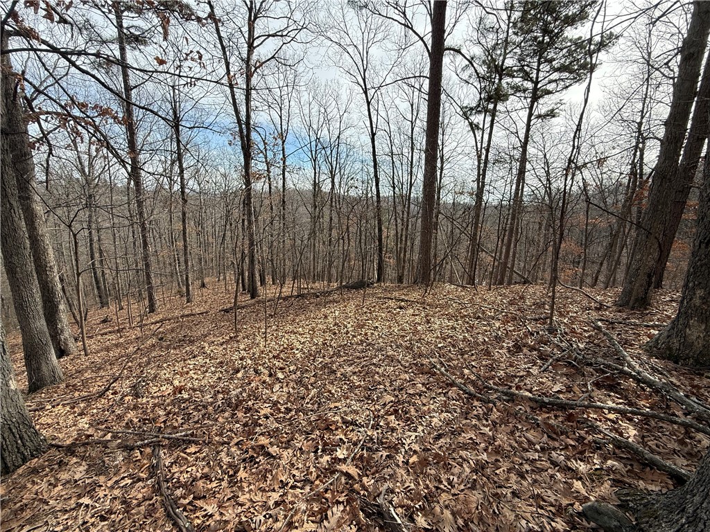 Tract 4 Cardinal Ridge Road