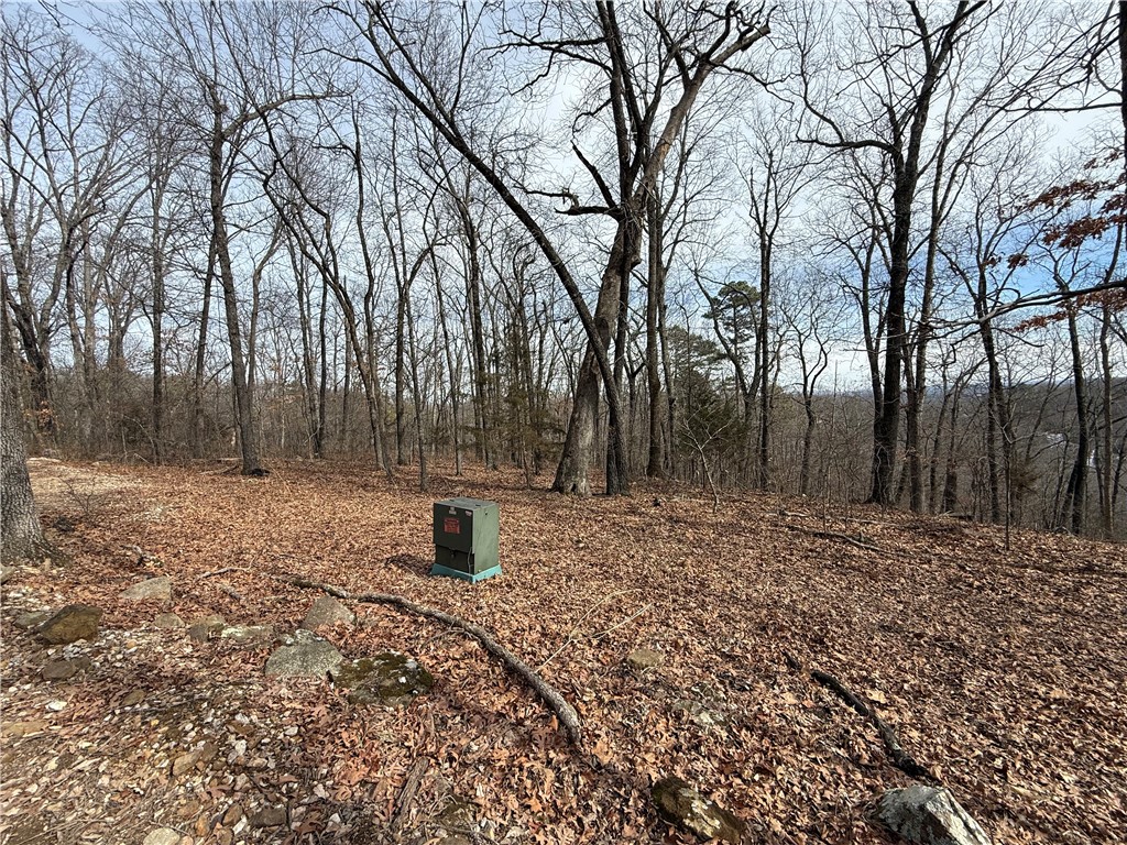 Tract 4 Cardinal Ridge Road