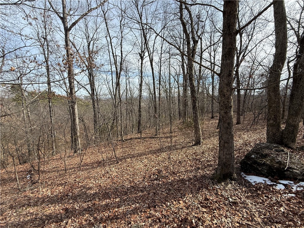 Tract 4 Cardinal Ridge Road