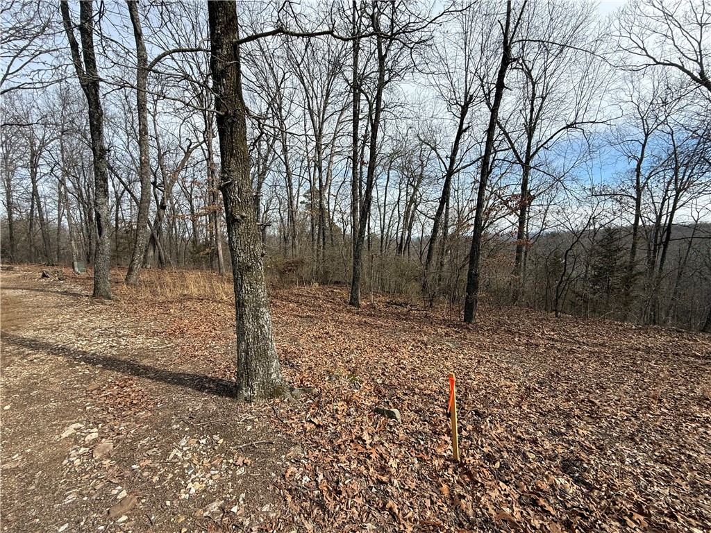 Tract 4 Cardinal Ridge Road
