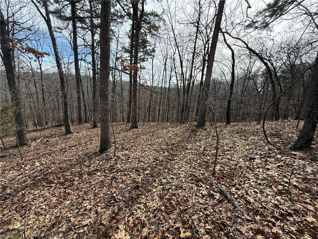 Tract 4 Cardinal Ridge Road