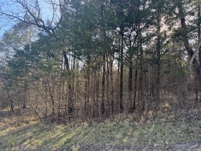 1 Table Rock/Cottonwood Drive