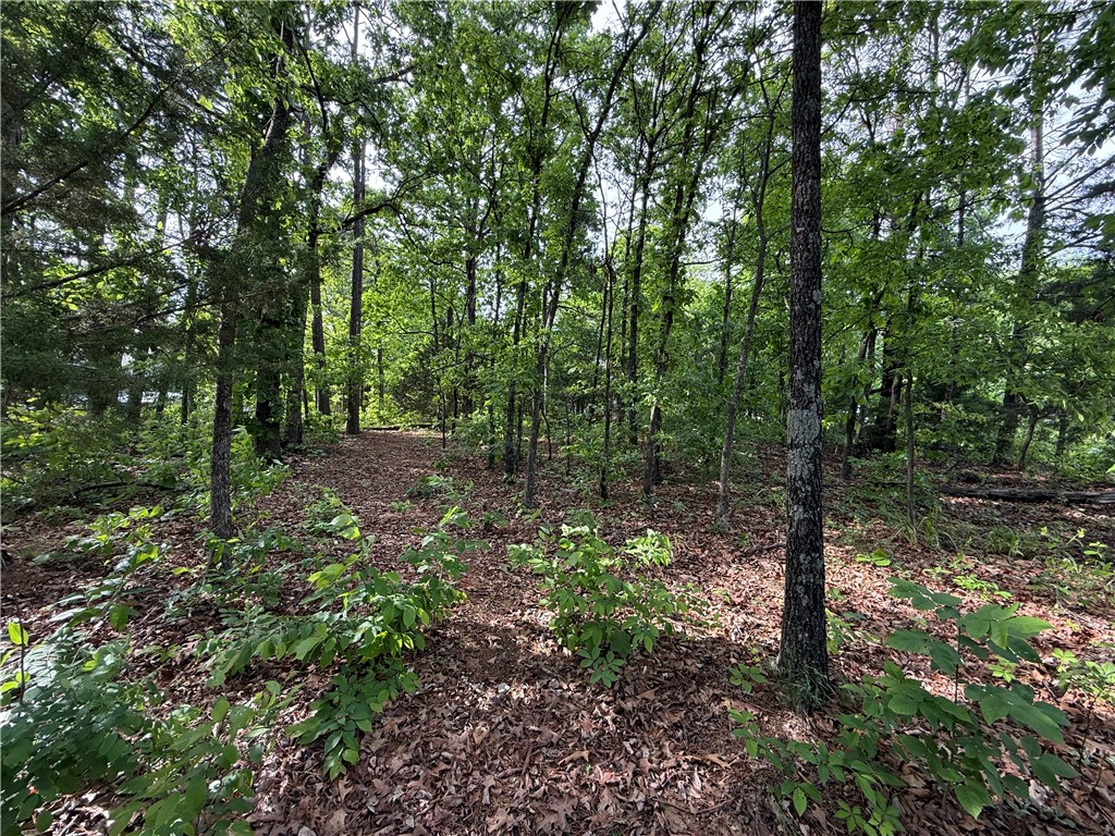 8 Soth Hills Loop
