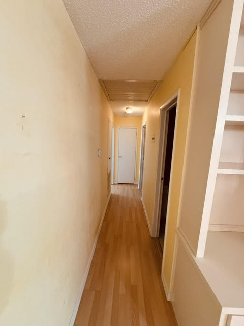 19 Walnut Avenue
