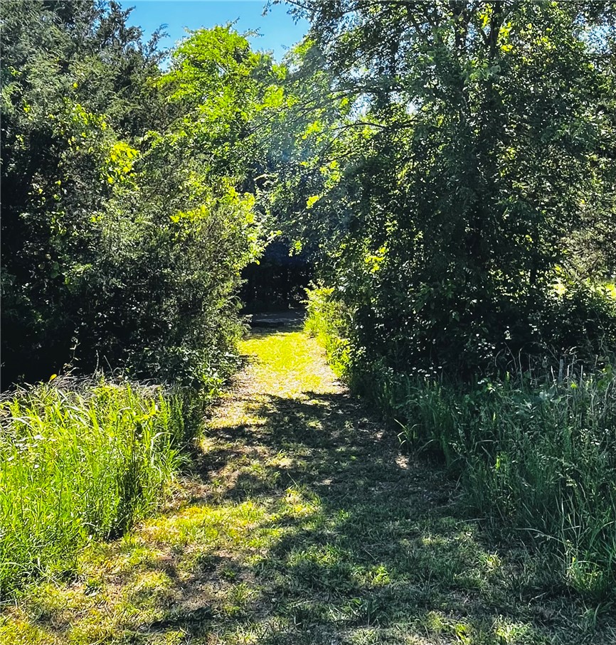 Clover Lane