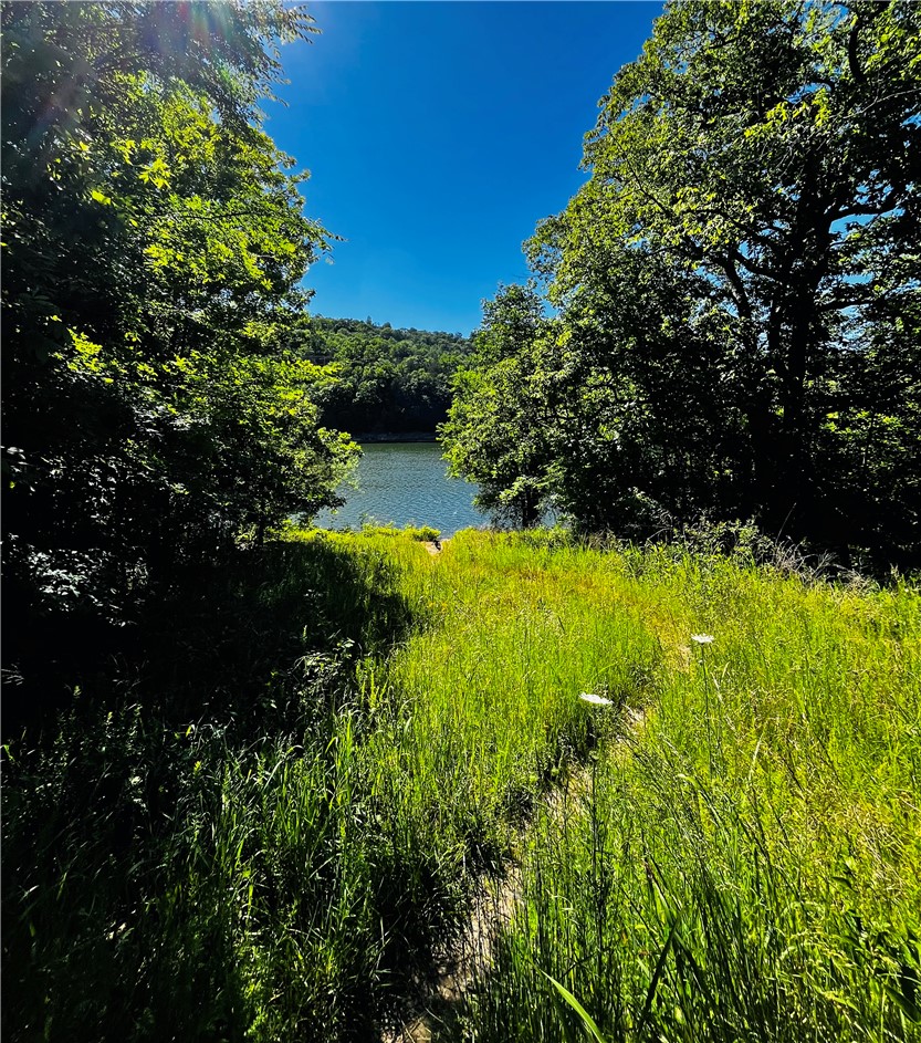 Clover Lane