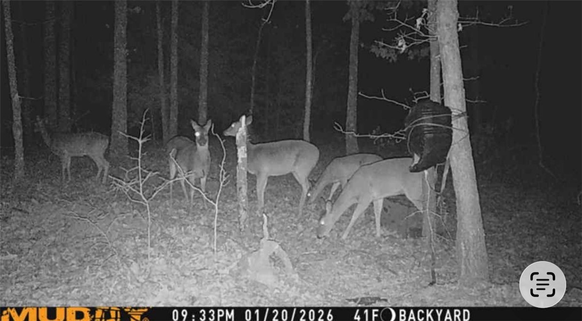 305 County Road 2664