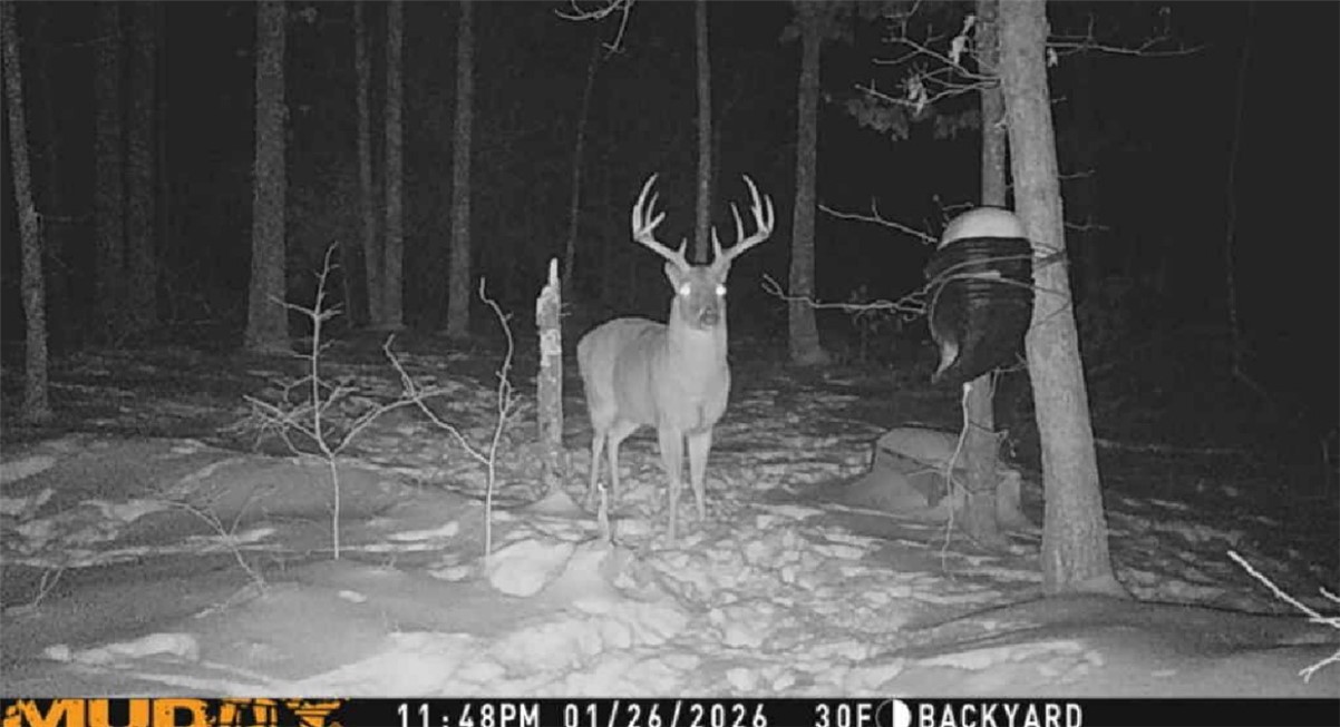 305 County Road 2664