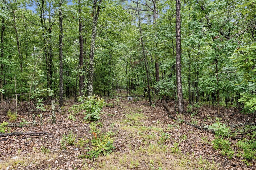 305 County Road 2664