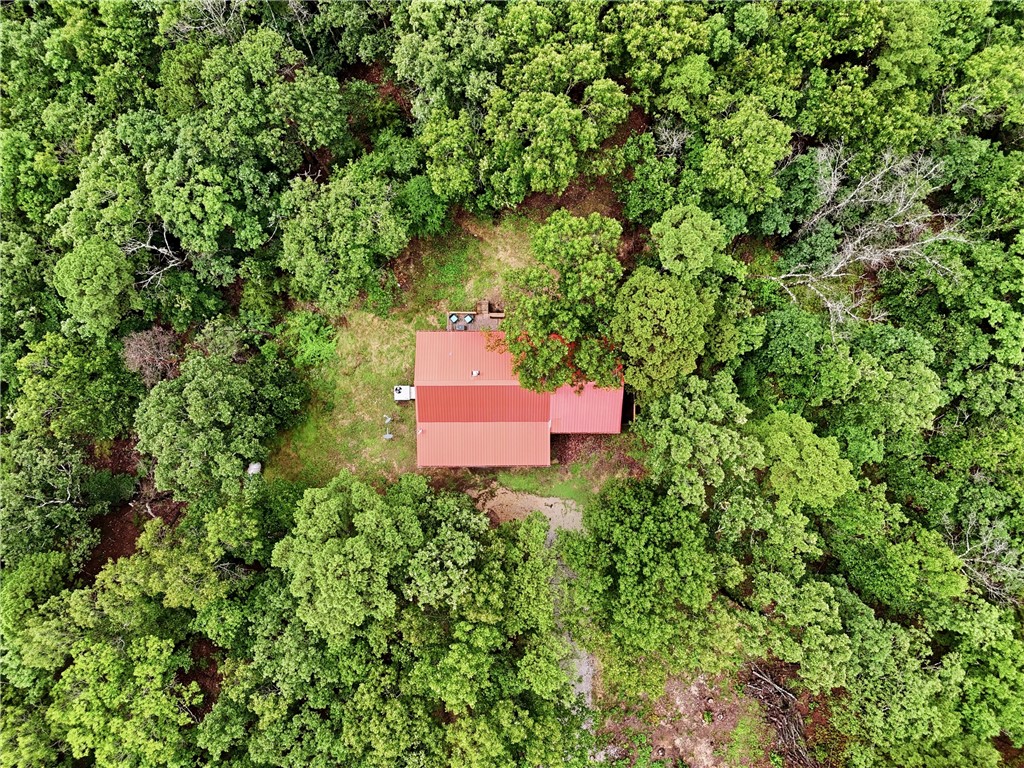 305 County Road 2664