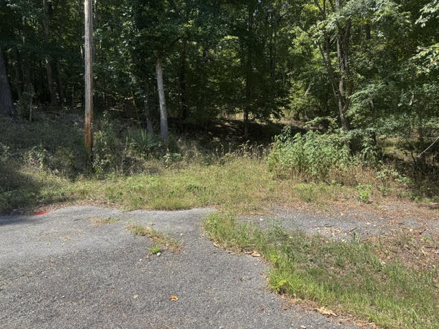 10 Pine Lane