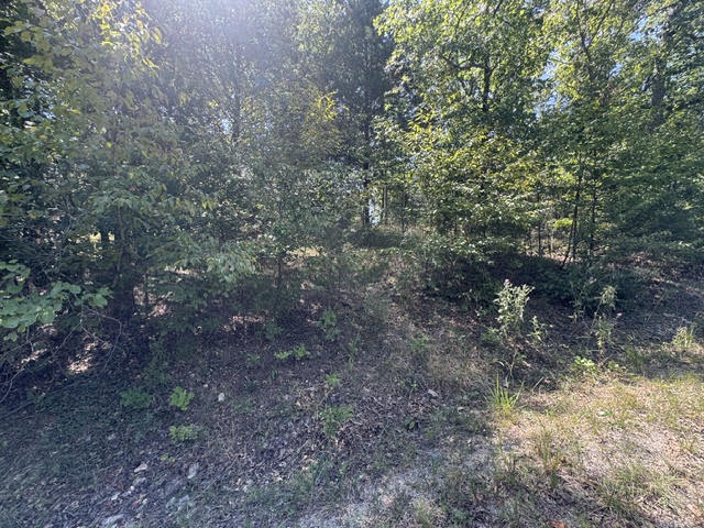 124 Valley Drive