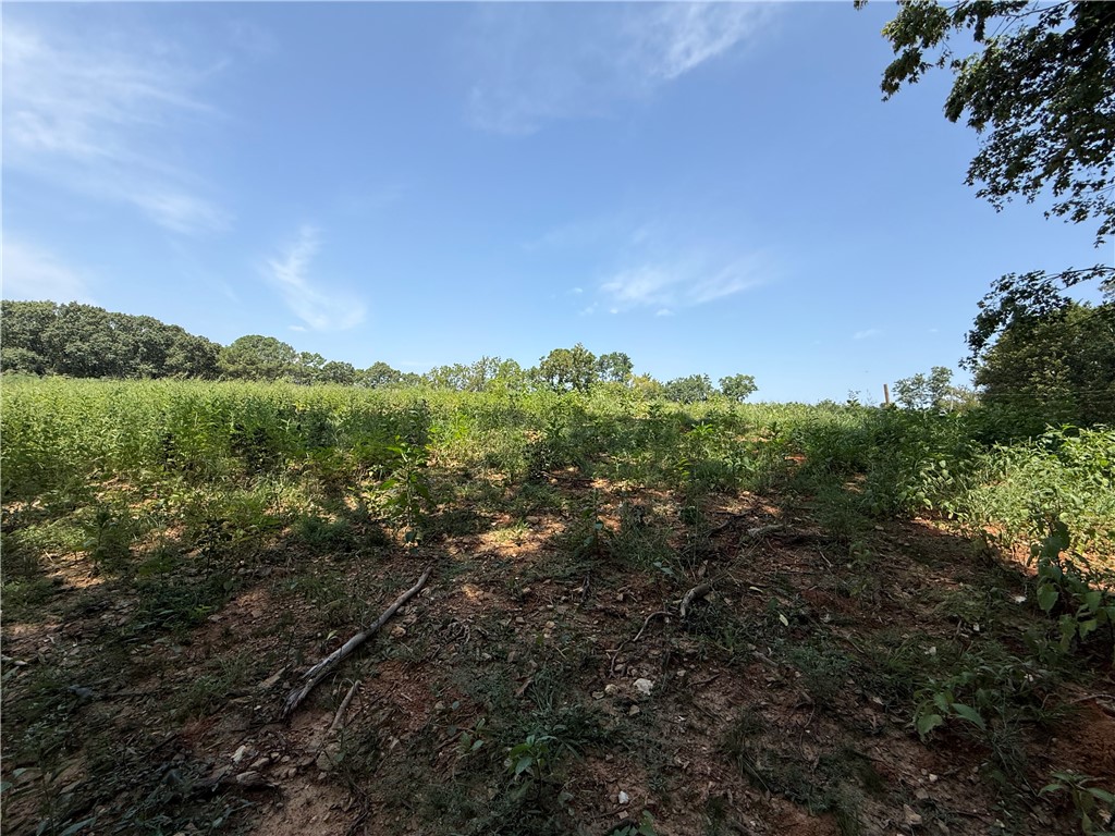 Lot 10 Little Street