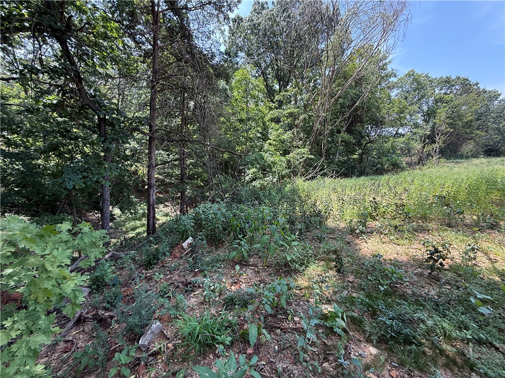 Lot 10 Little Street
