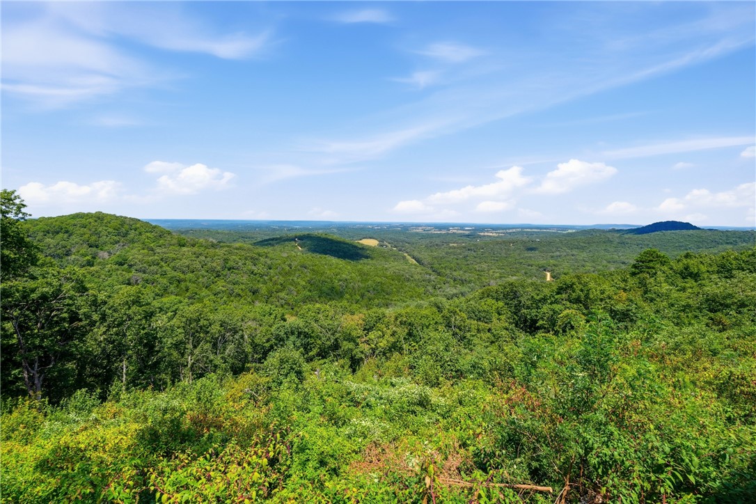 976 County Road 220