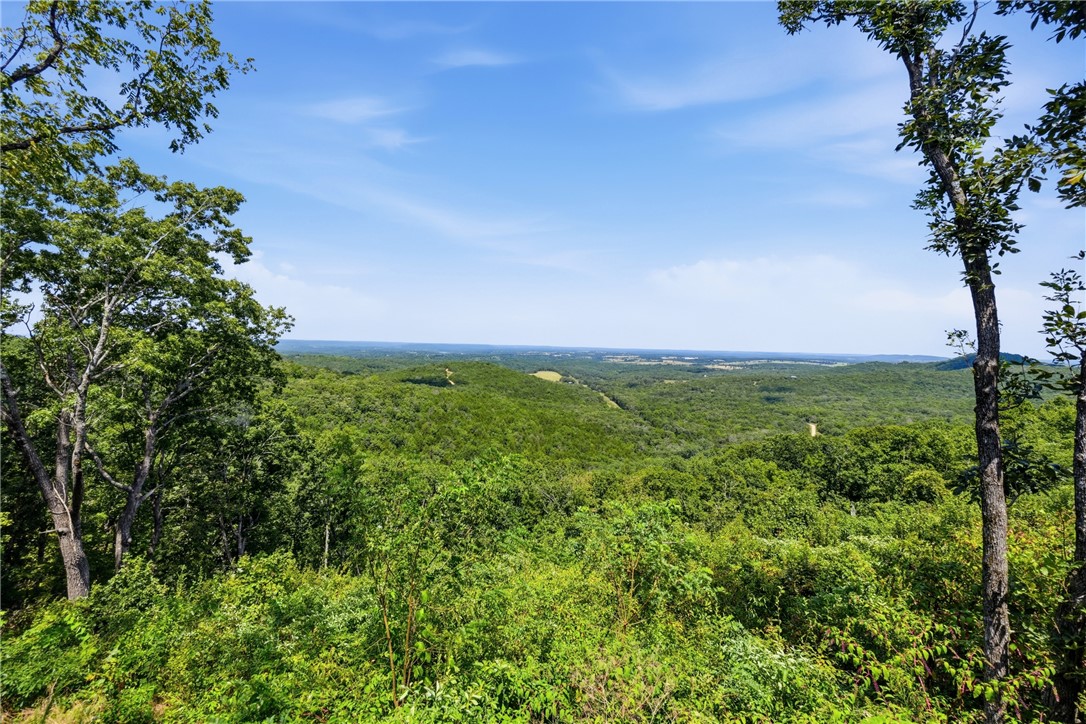 976 County Road 220