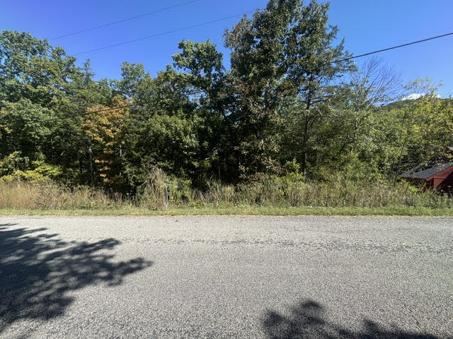 80 Wild Turkey Drive
