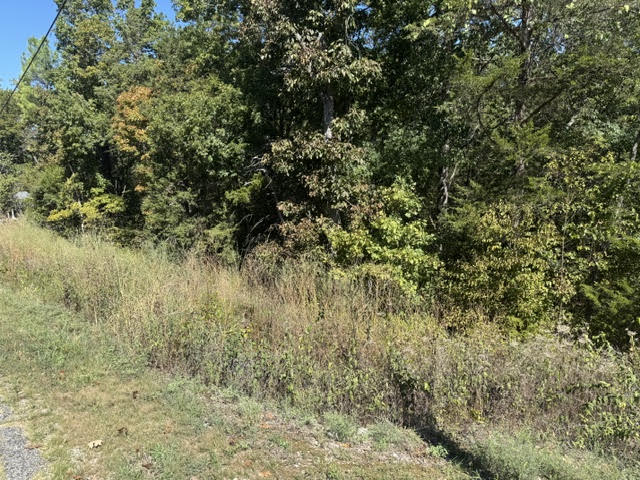 80 Wild Turkey Drive