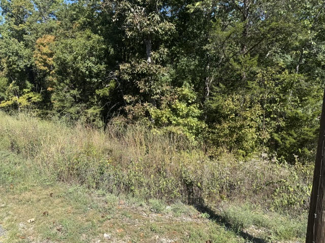 80 Wild Turkey Drive
