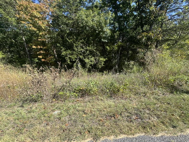 80 Wild Turkey Drive