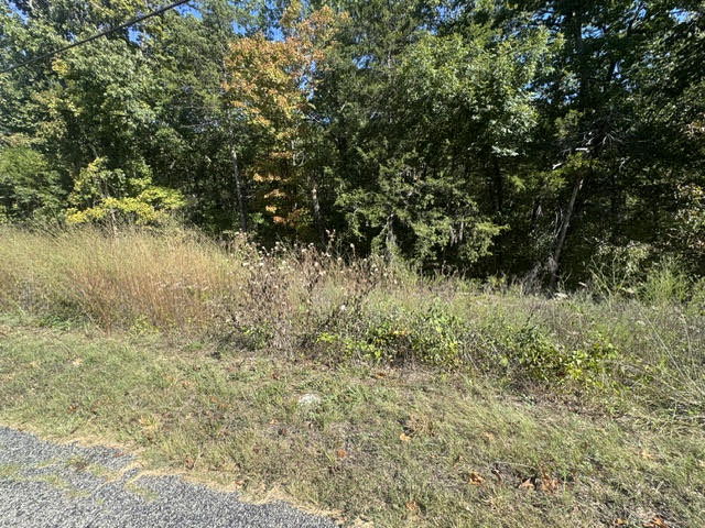 80 Wild Turkey Drive