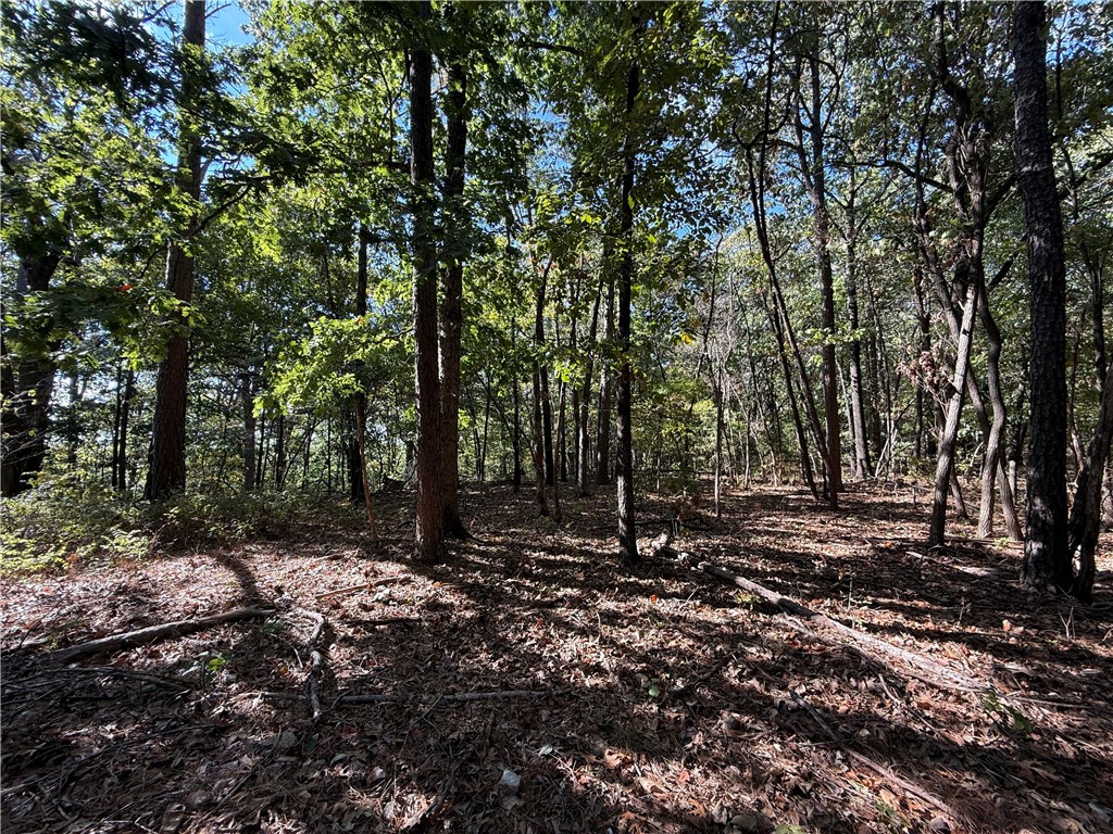 Tract A Silver Ridge Road