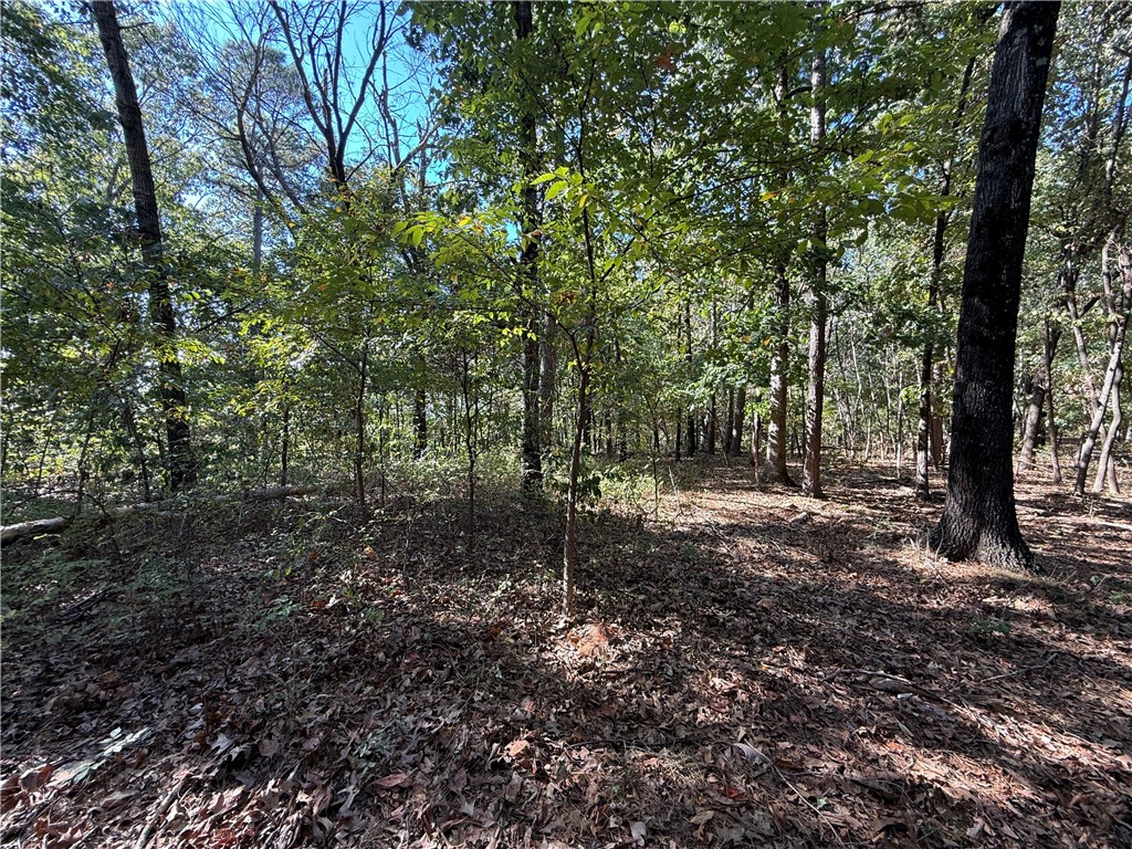 Tract A Silver Ridge Road