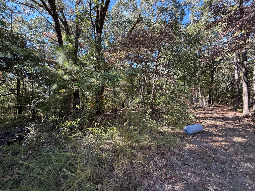 Tract A Silver Ridge Road